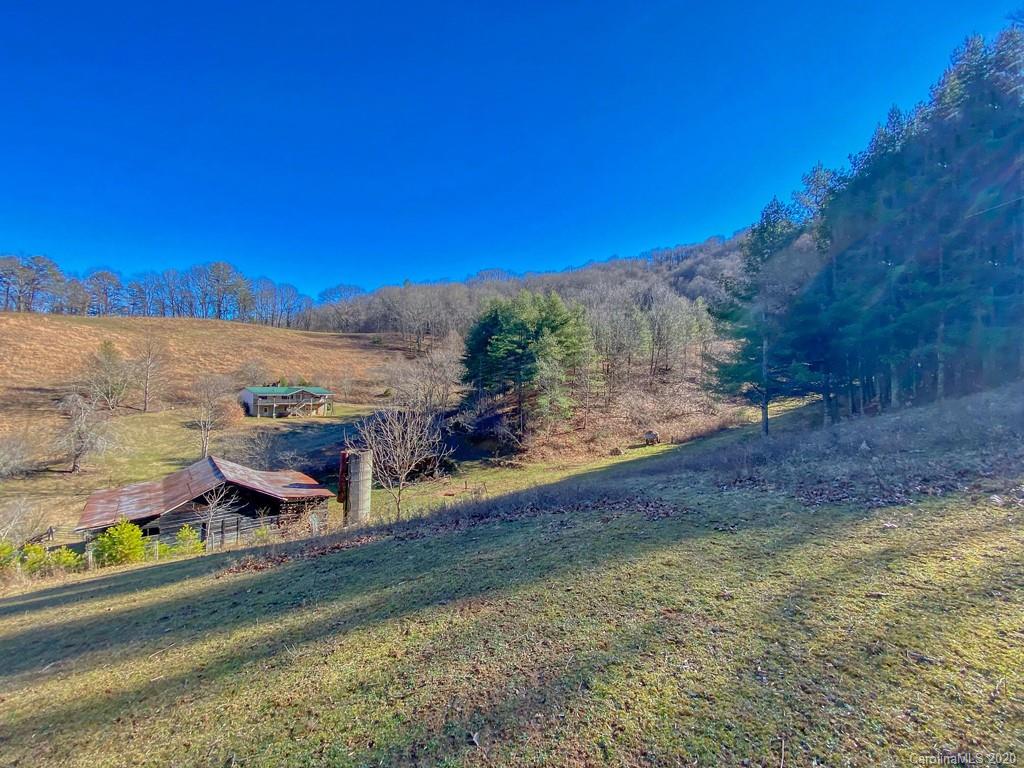 1290 Rabbit Skin Road Waynesville, NC 28785 - Photo 40 of 42 Gallery Image 40