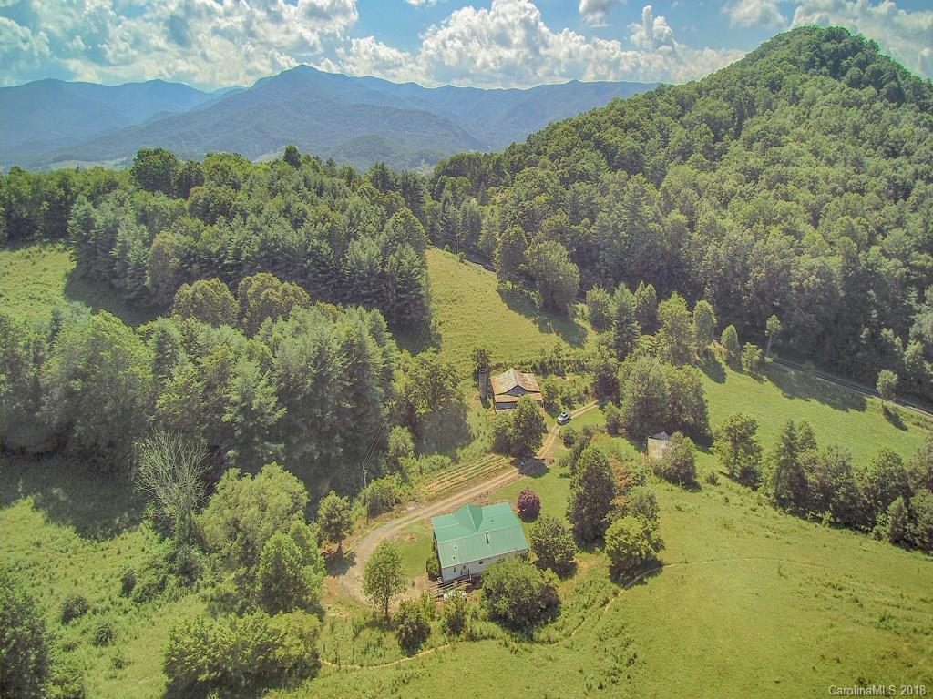 1290 Rabbit Skin Road Waynesville, NC 28785 - Photo 5 of 42 Gallery Image 5