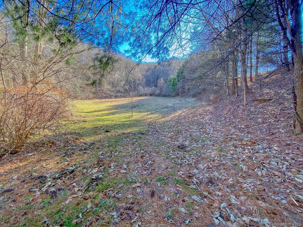 1290 Rabbit Skin Road Waynesville, NC 28785 - Photo 41 of 42 Gallery Image 41