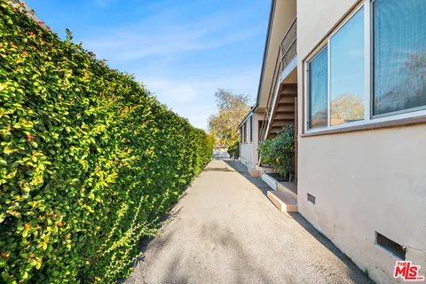 a view of a garden with pathway
