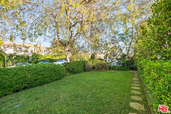 a view of a trees with a yard