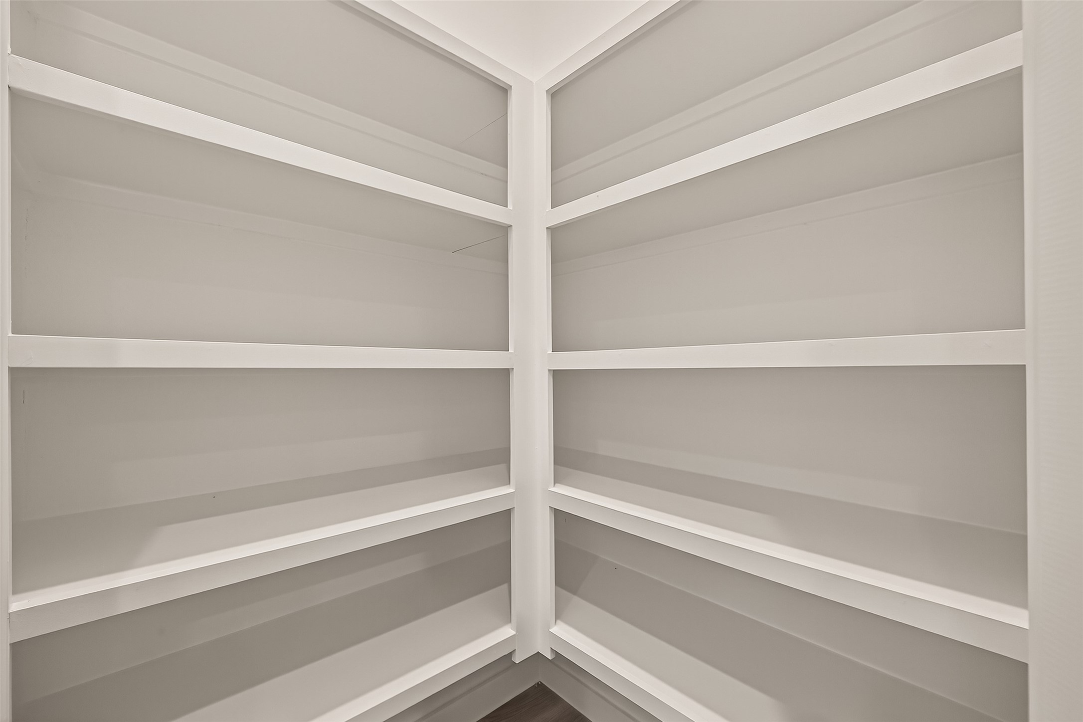 2826 Lisburn Ter Lane Houston, TX 77051 - Photo 16 of 18 a view of walk in closet with empty racks