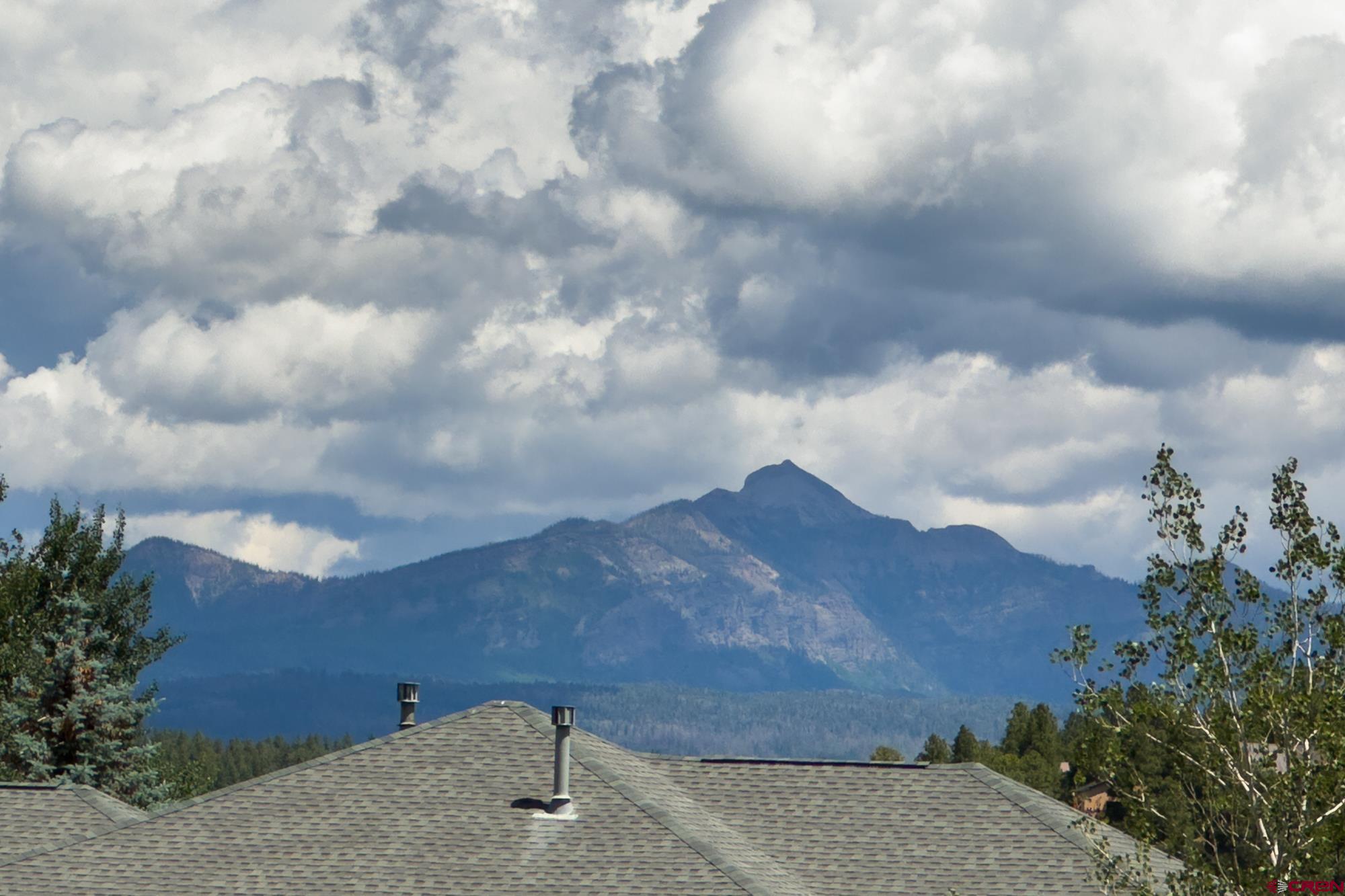 164 Valley View Drive, Unit 3218 Pagosa Springs, CO 81147 - Photo 32 of 39 a view of a dry yard