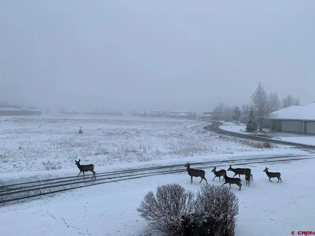 $215,000 | 164 Valley View Drive, Unit 3218, Pagosa Springs, CO 81147