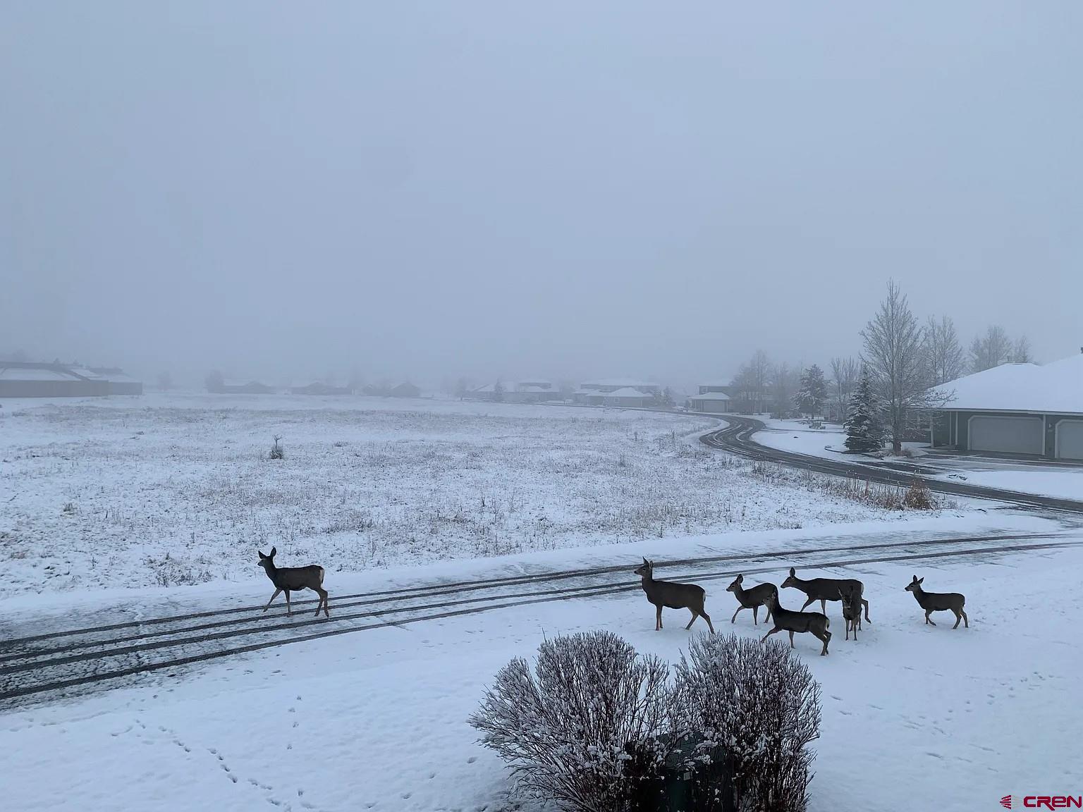 164 Valley View Drive, Unit 3218 Pagosa Springs, CO 81147 - Photo 39 of 39 a view of a fireplace