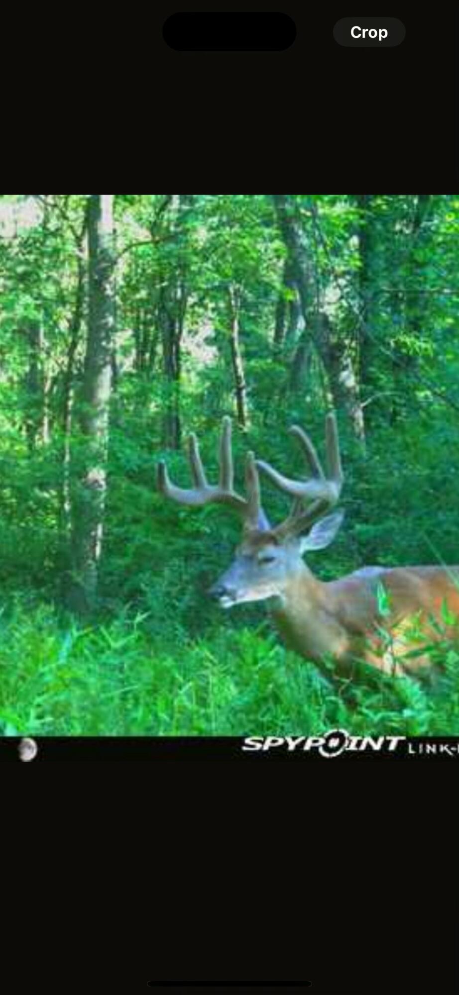 24453 Woltz Road Rockbridge, OH 43149 - Photo 4 of 28 tempImage7wnWC4