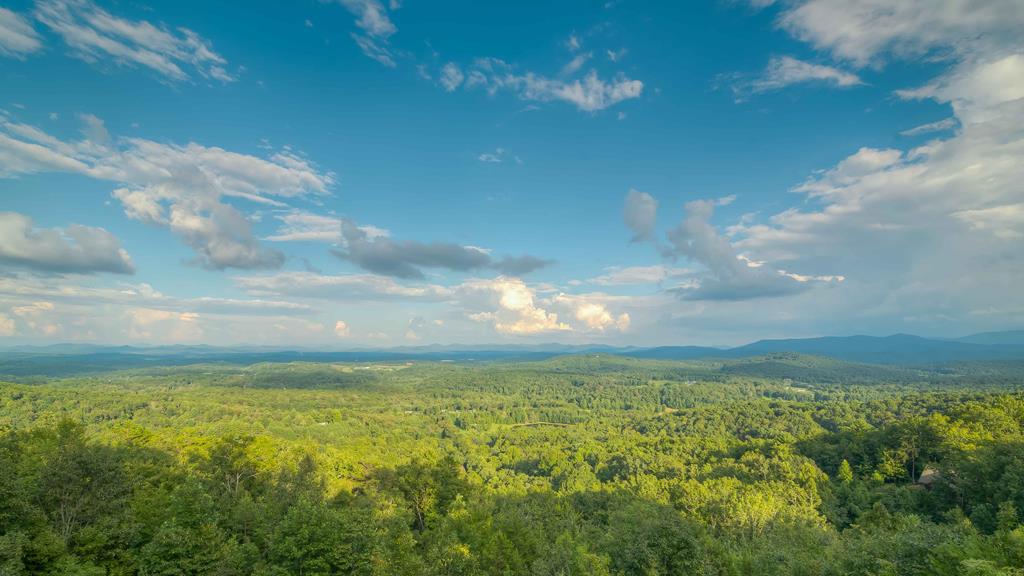 173 Sunrock Mountain Trail Blue Ridge, GA 30513 - Photo 90 of 92