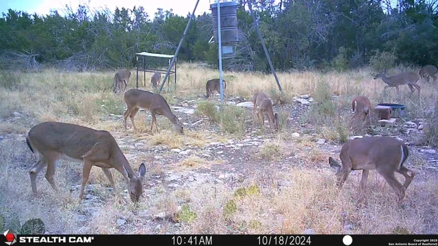 $899,000 | 2056 Highway 83, Junction, TX 76849