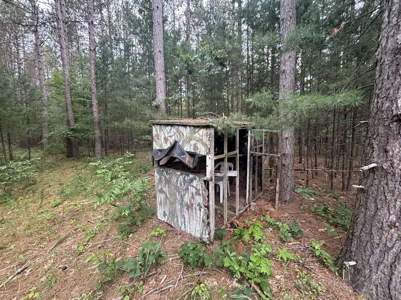40 West 9 Mile Road Free Soil, MI 49411 - Photo 11 of 20 Gallery Image 11