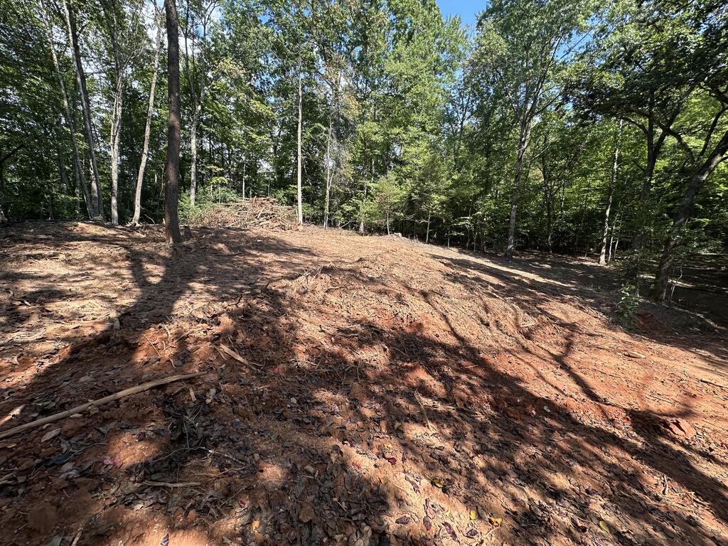 Tbd Harris Ridge Lane Hayesville, NC 28904 - Photo 8 of 32 Gallery Image 8