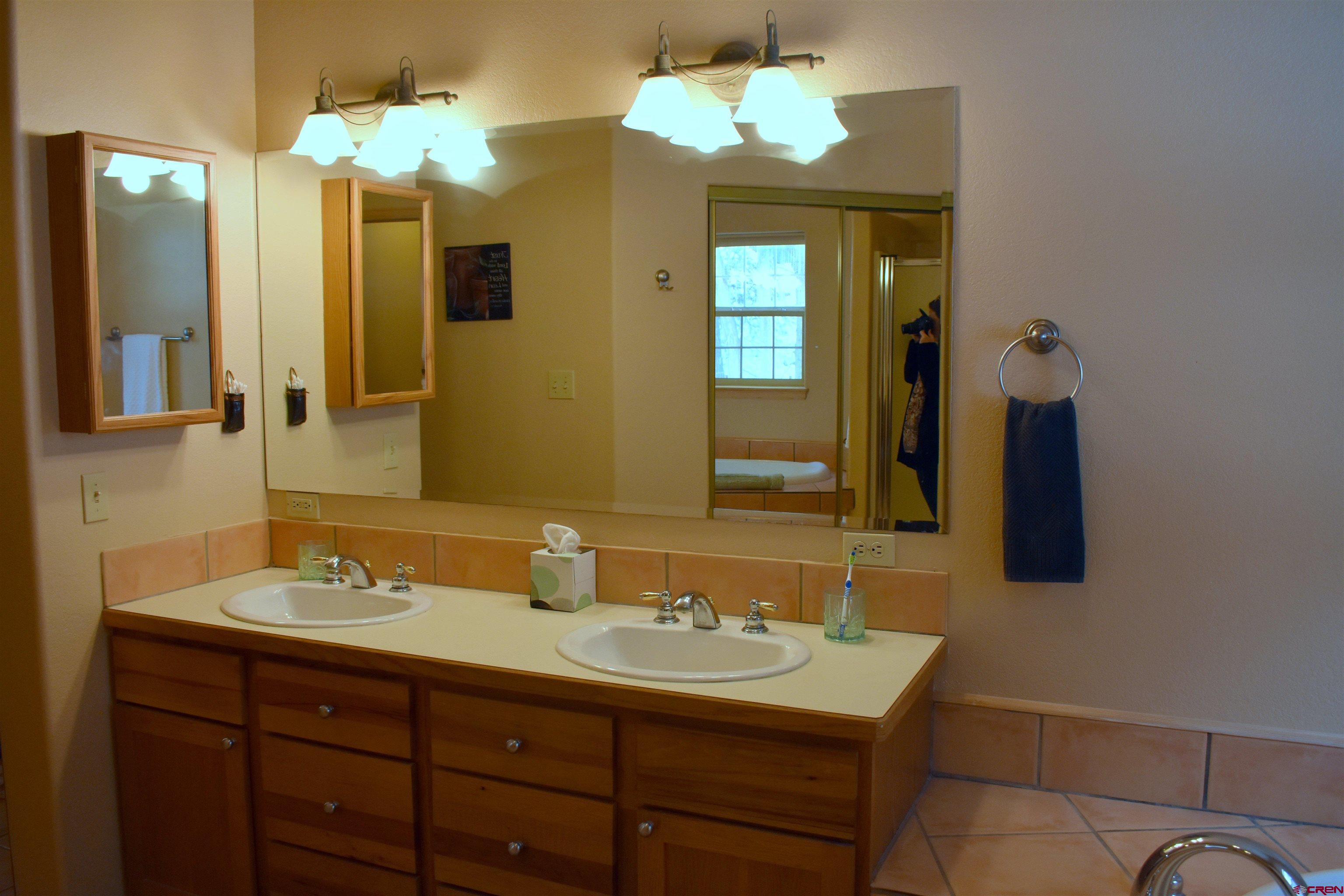 1570 Oak Street Ouray, CO 81427 - Photo 29 of 35 a bathroom with a sink and a mirror