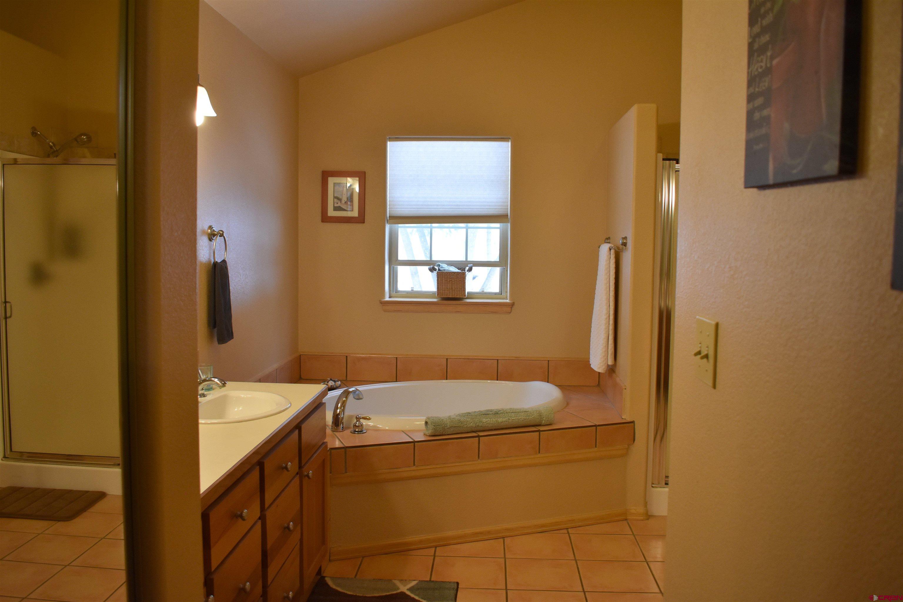 1570 Oak Street Ouray, CO 81427 - Photo 30 of 35 a bathroom with a sink a mirror and a bathtub