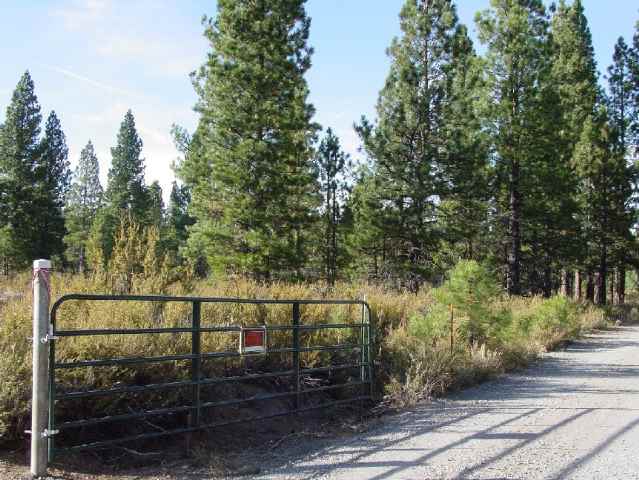 1009 Mountain Quail Road Calpine, CA 96124 - Photo 1 of 7
