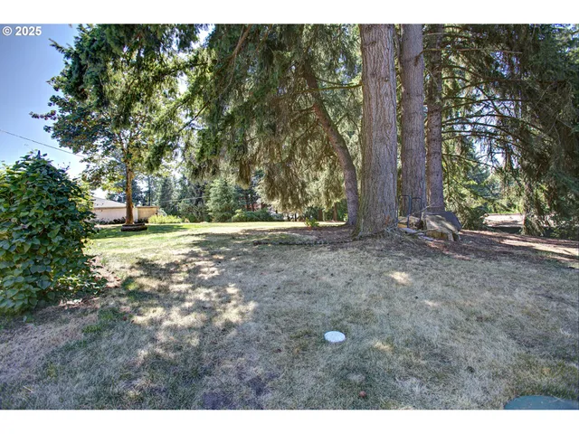 a view of outdoor space with trees all around