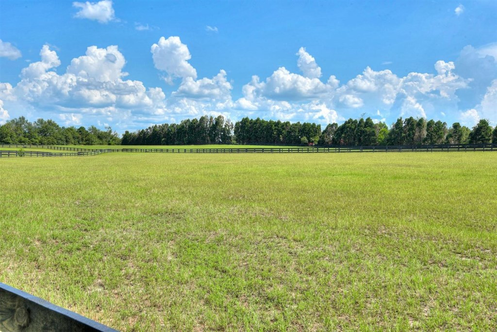 503 Chime Bell Church Road Aiken, SC 29803 - Photo 56 of 60