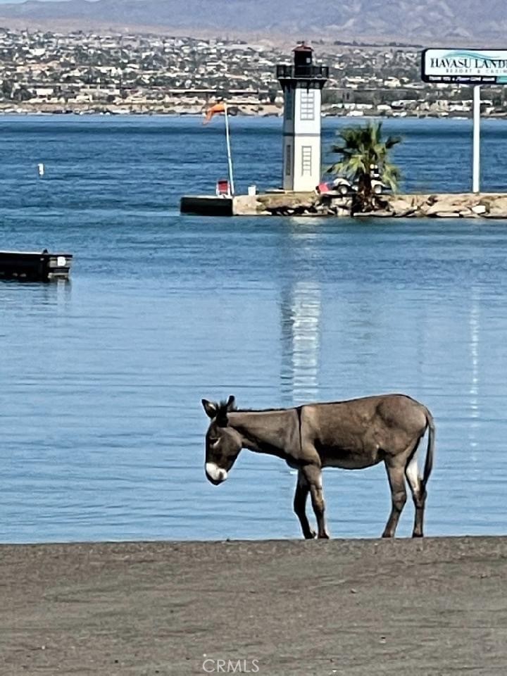 0 Lot 1 On Desert View Needles, CA 92363 - Photo 18 of 18 a view of a lake with outdoor seating