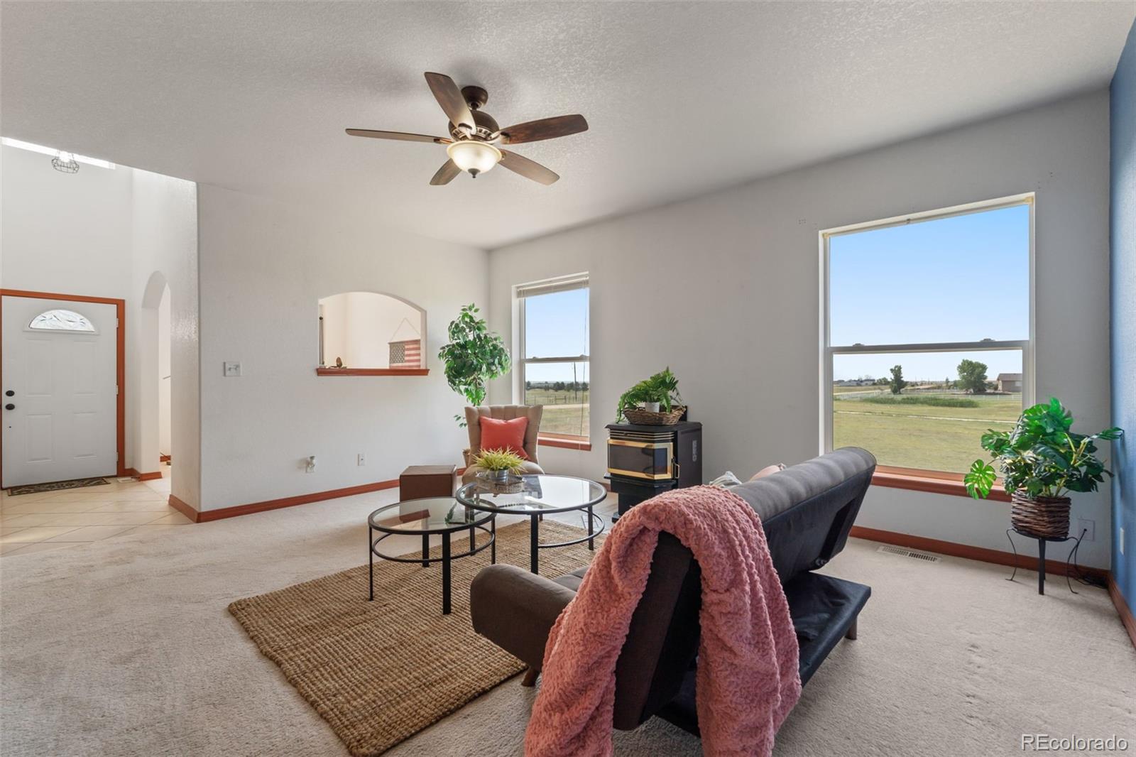 11424 McKissick Road Peyton, CO 80831 - Photo 5 of 32 a living room with furniture and a potted plant