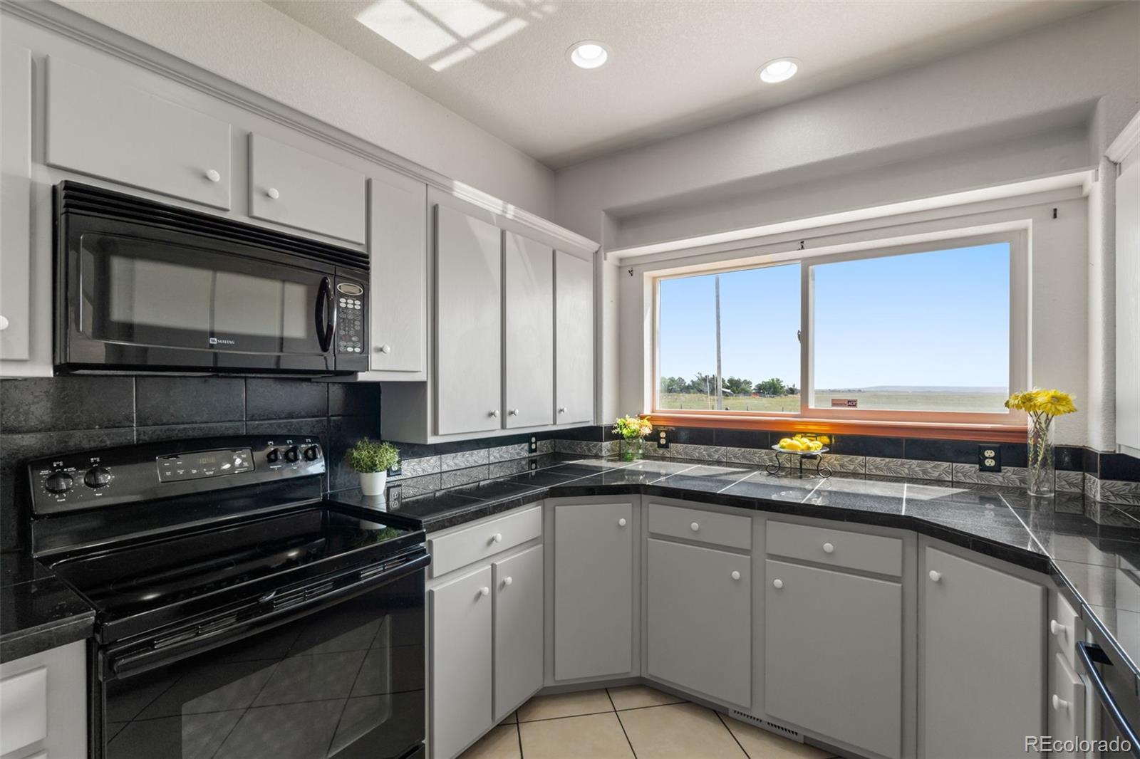 11424 McKissick Road Peyton, CO 80831 - Photo 10 of 32 a kitchen with stainless steel appliances a sink dishwasher stove microwave and cabinets