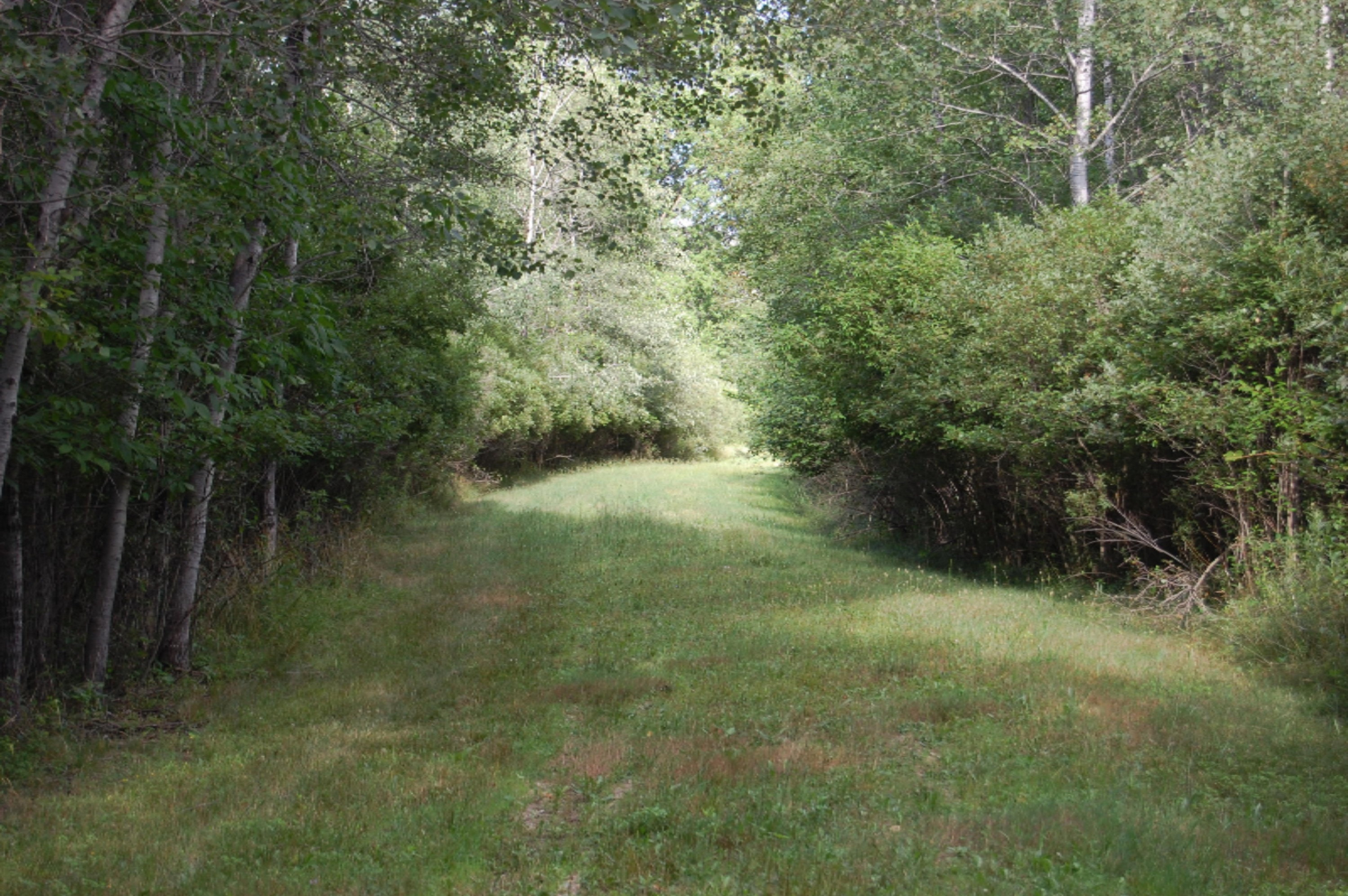 Townhall Road Beaverton, MI 48612 - Photo 1 of 5 DSC_0016