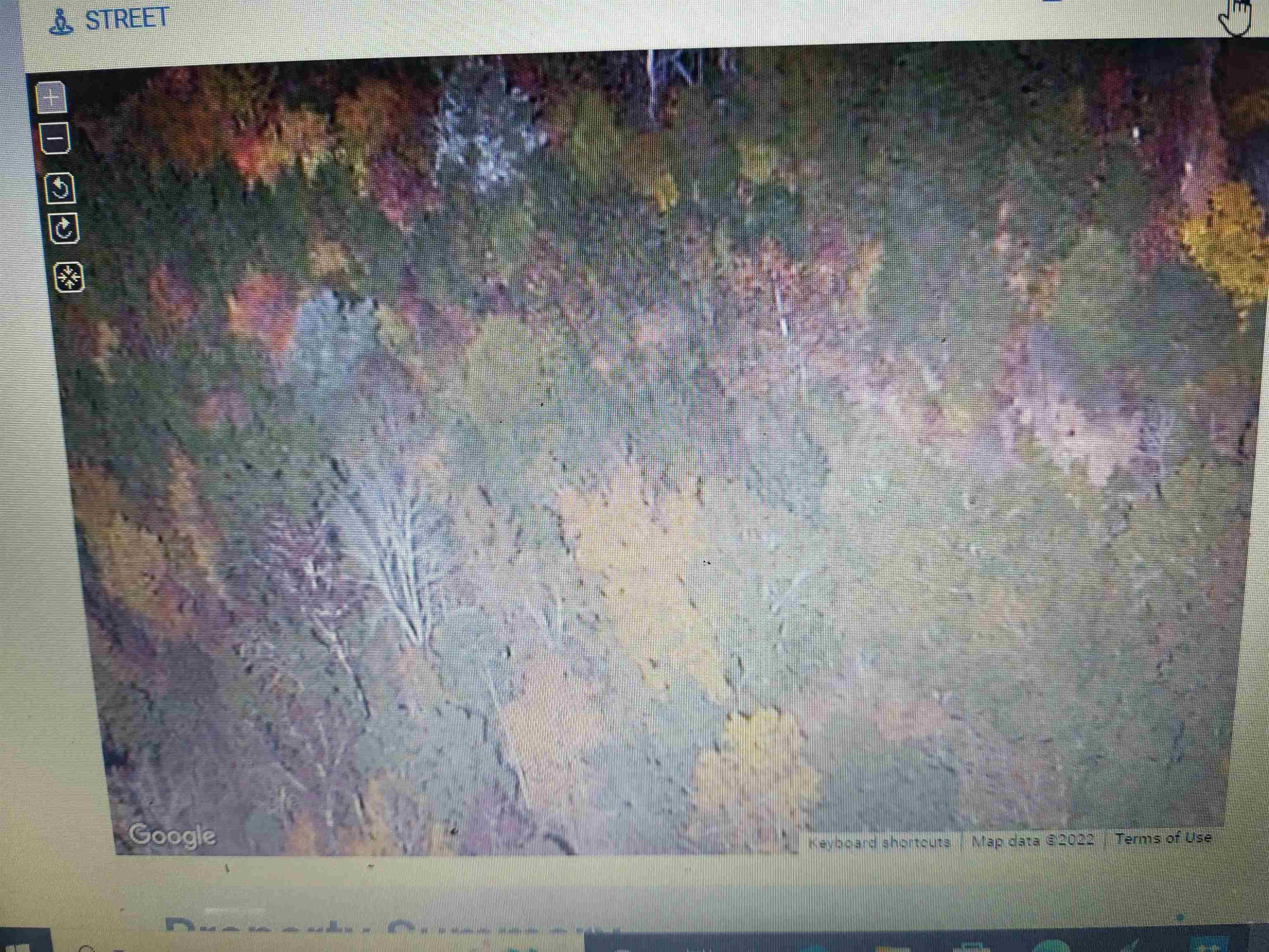 716 Virgil Road Durham, NC 27703 - Photo 12 of 14 a view of backyard with wooden floor