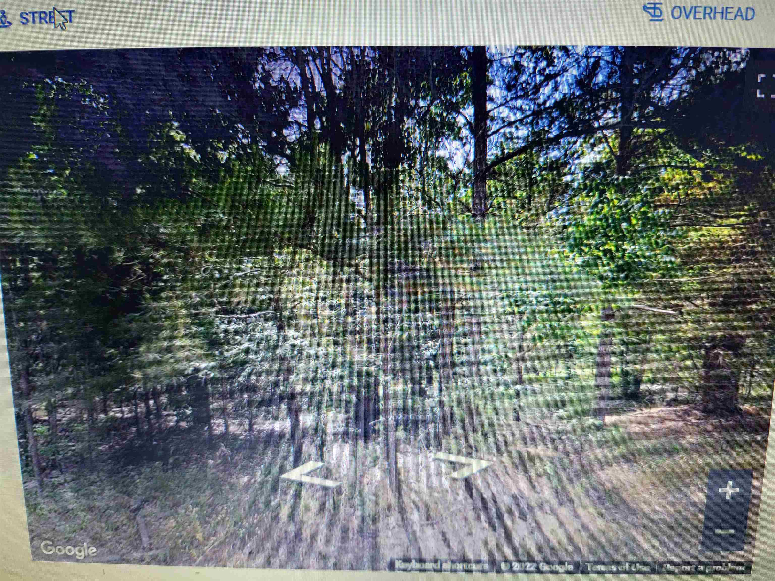 716 Virgil Road Durham, NC 27703 - Photo 13 of 14 a view of a bunch of plants