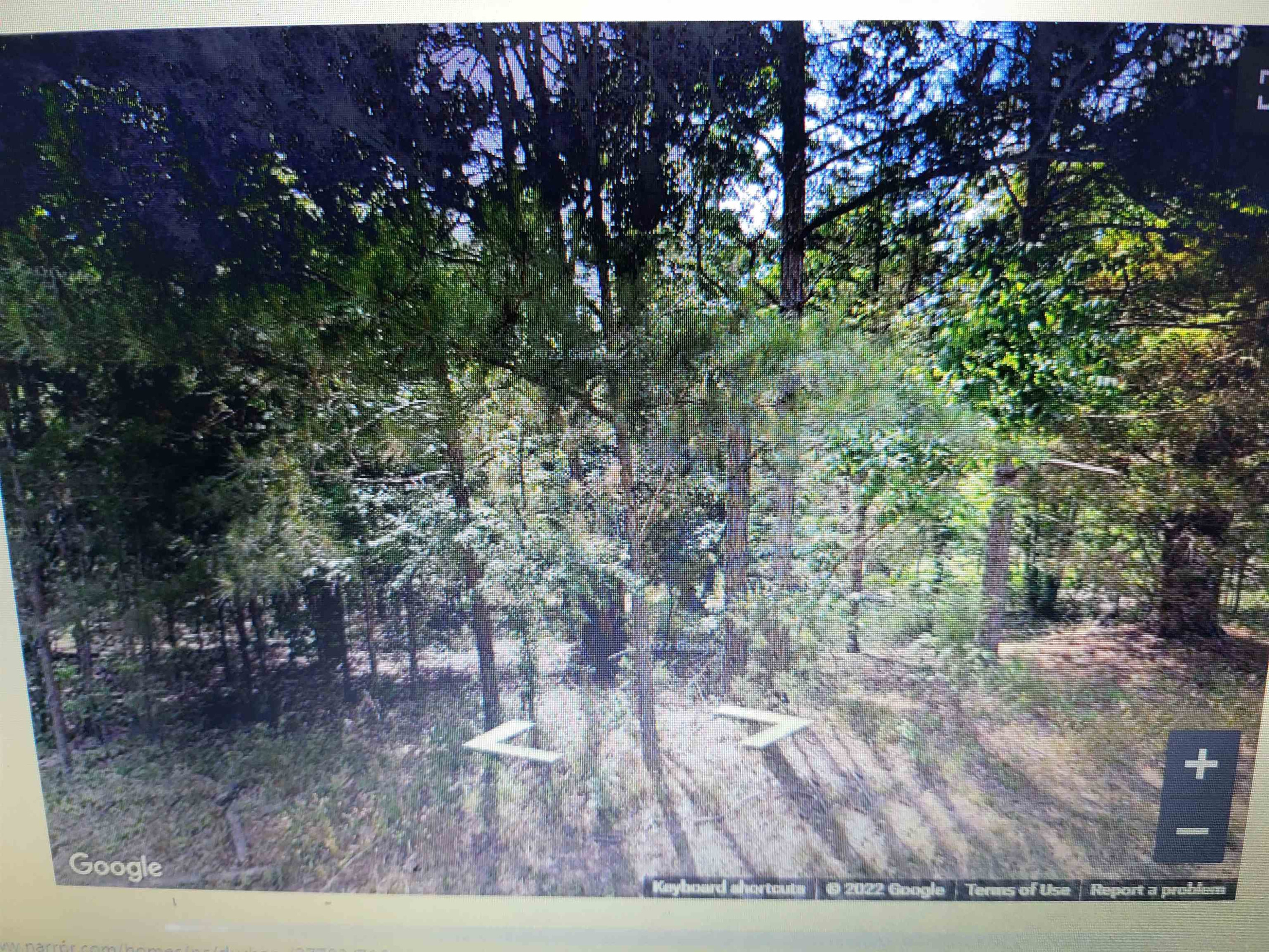 716 Virgil Road Durham, NC 27703 - Photo 14 of 14 a view of yard