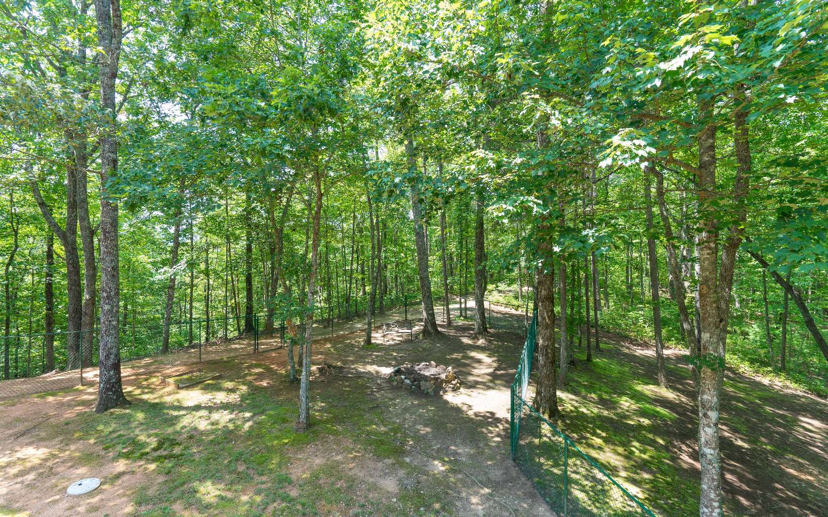 260 Berry Hl Road Murphy, NC 28906 - Photo 48 of 55 a backyard of a house with lots of green space