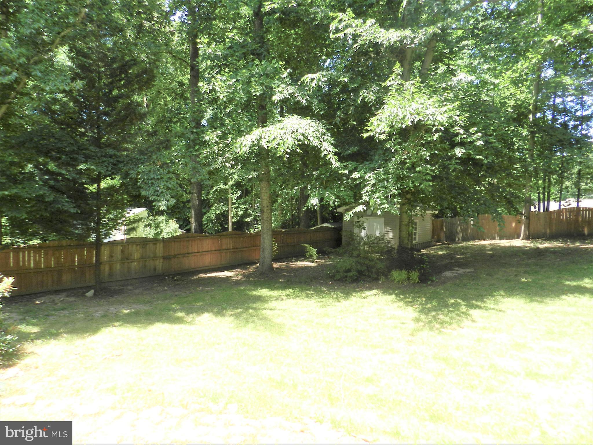 8650 Passapatanzy Road King George, VA 22485 - Photo 26 of 30 a view of a yard with a large tree
