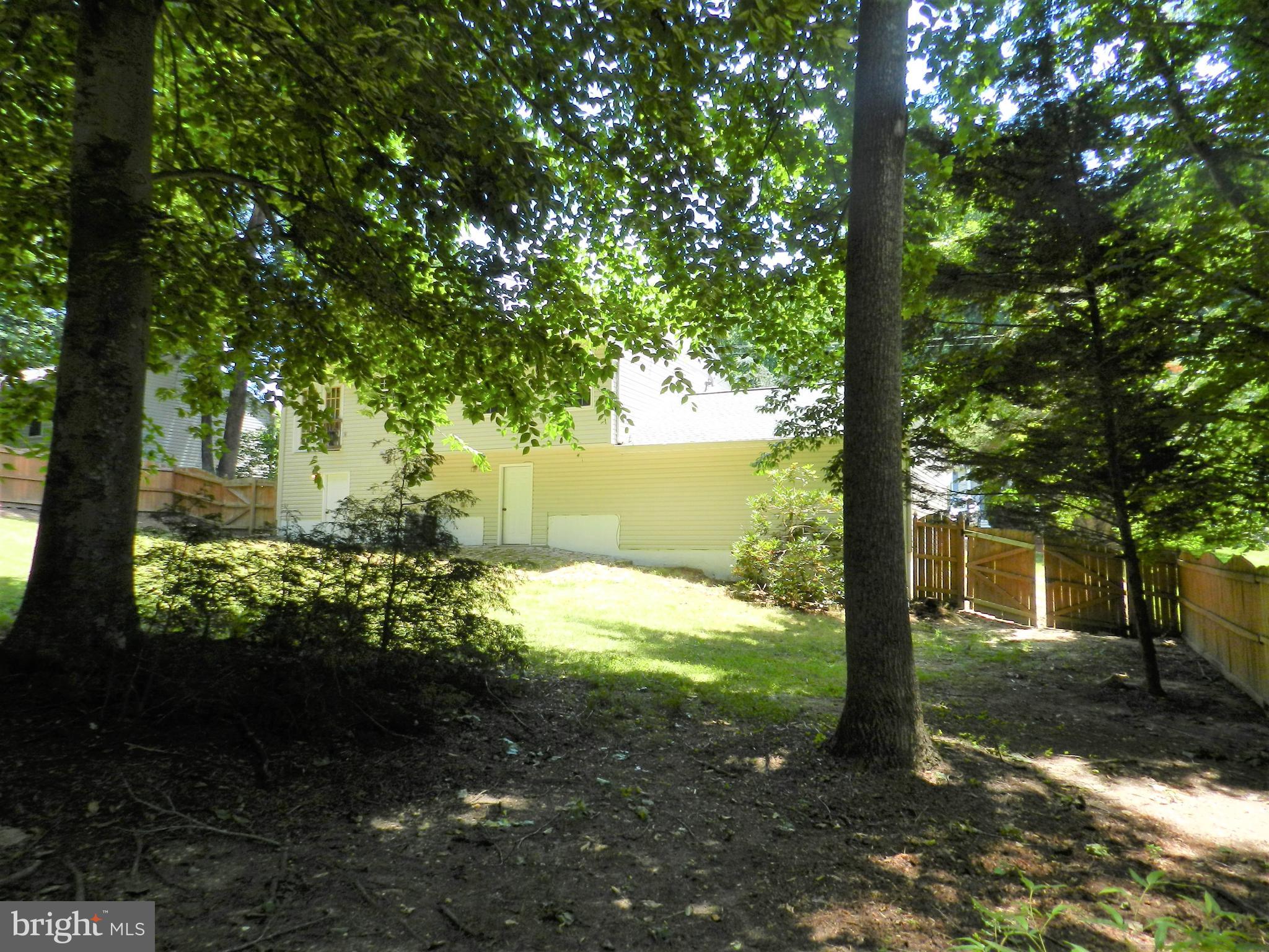 8650 Passapatanzy Road King George, VA 22485 - Photo 30 of 30 a view of a yard with plants and large trees