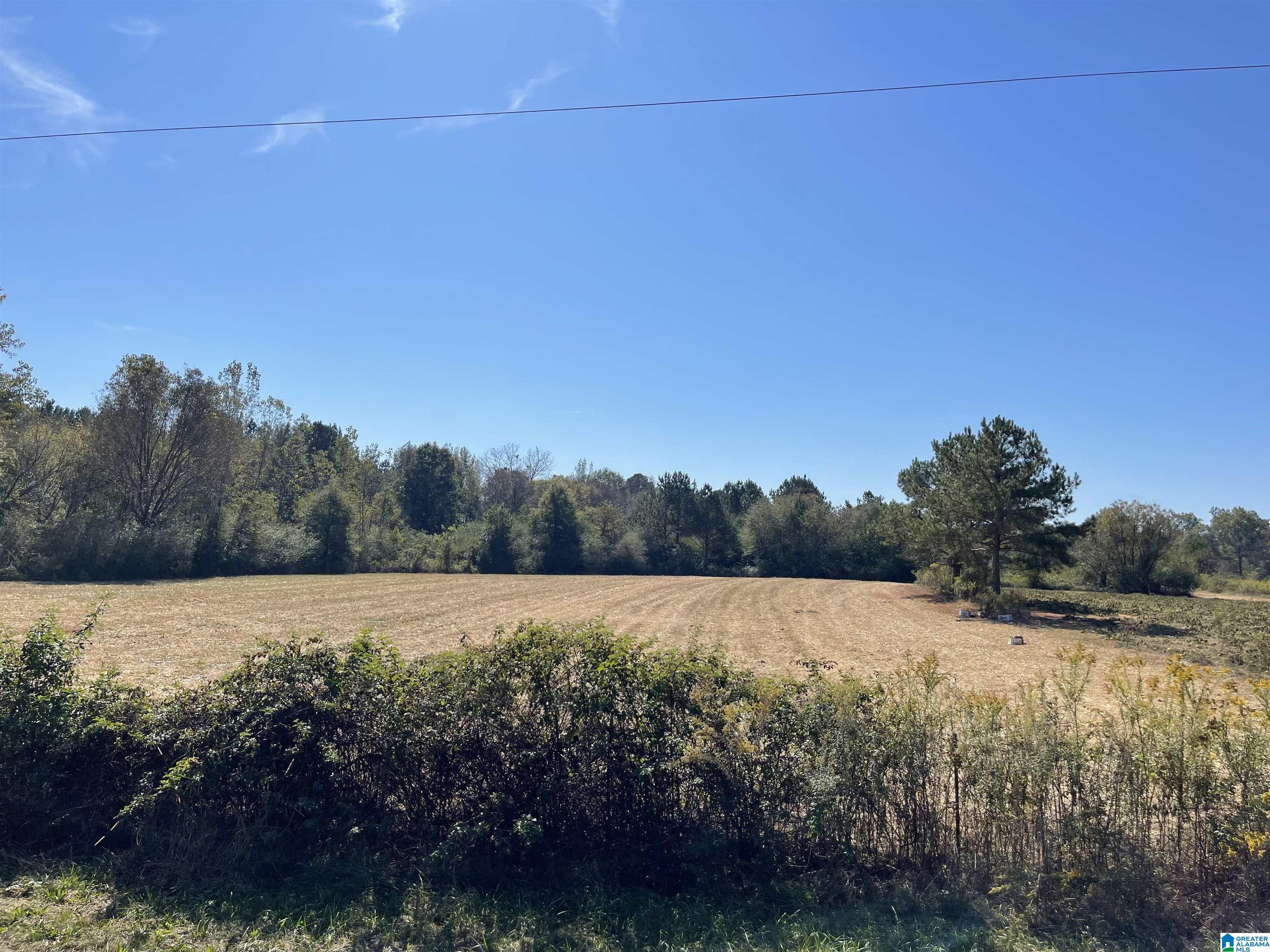 0 Farmingdale Road, Unit 28 Harpersville, AL 35078 - Photo 3 of 4