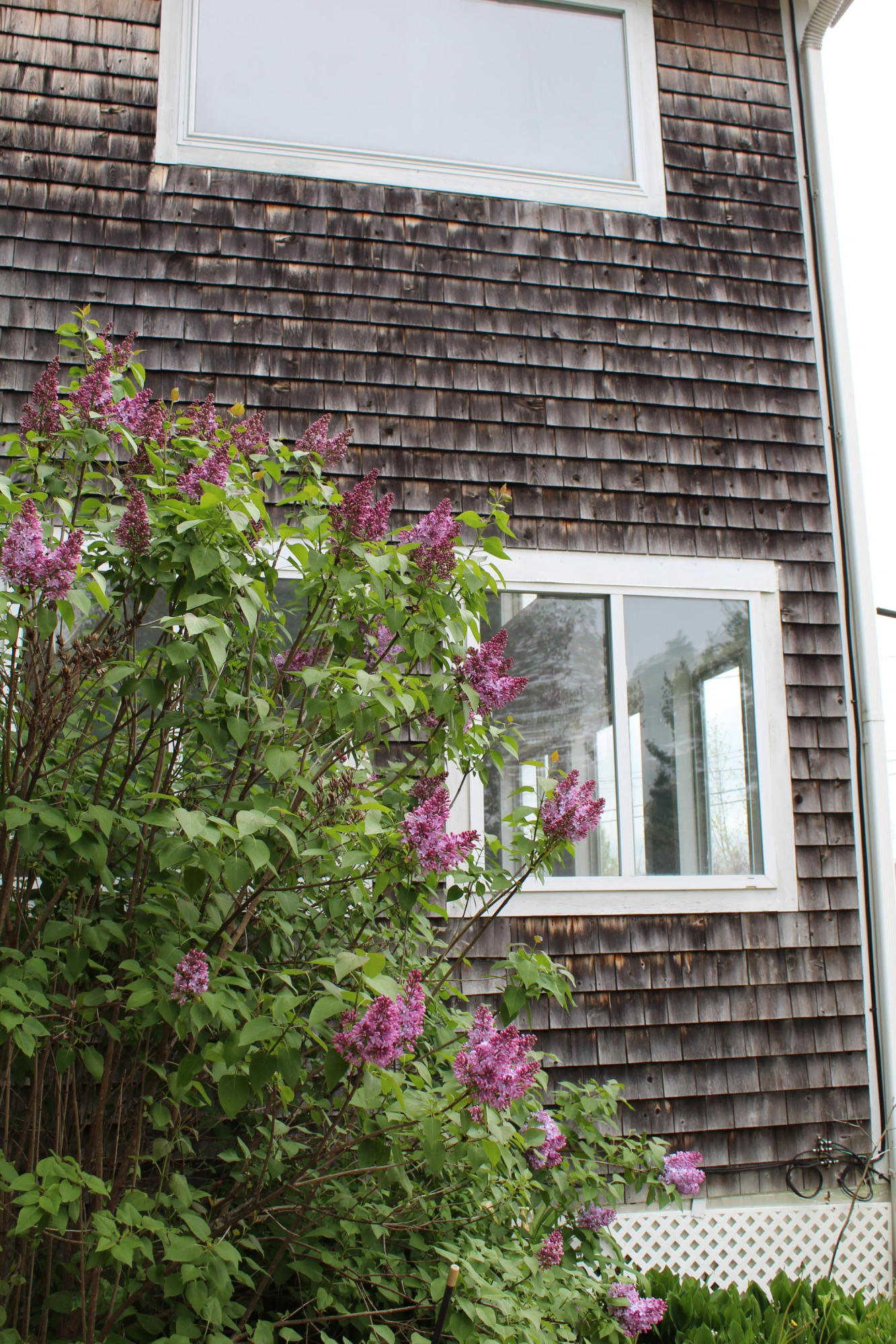 665 Sawyer Road Greene, ME 04236 - Photo 4 of 50 IMG_5810
