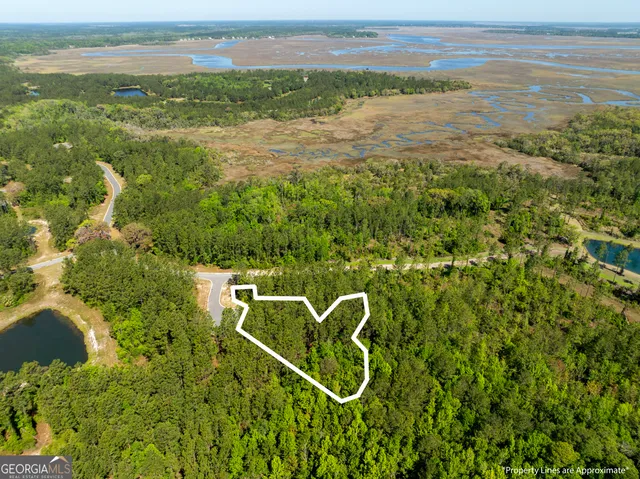 $75,000 | Lot 221 Clam Creek, Waverly, GA 31565