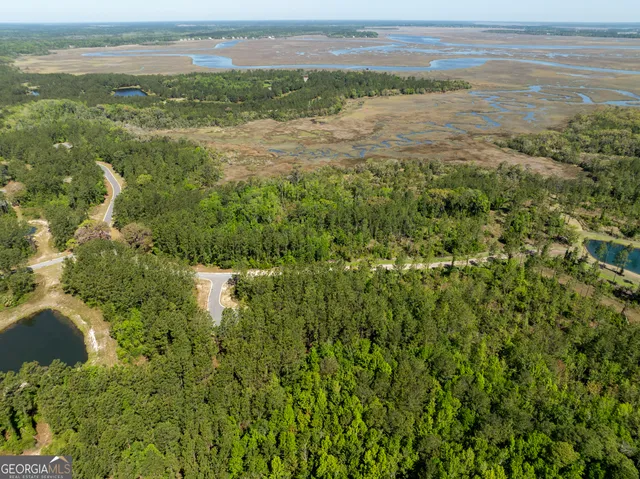 $75,000 | Lot 221 Clam Creek, Waverly, GA 31565