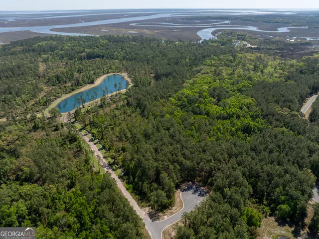 $75,000 | Lot 221 Clam Creek, Waverly, GA 31565