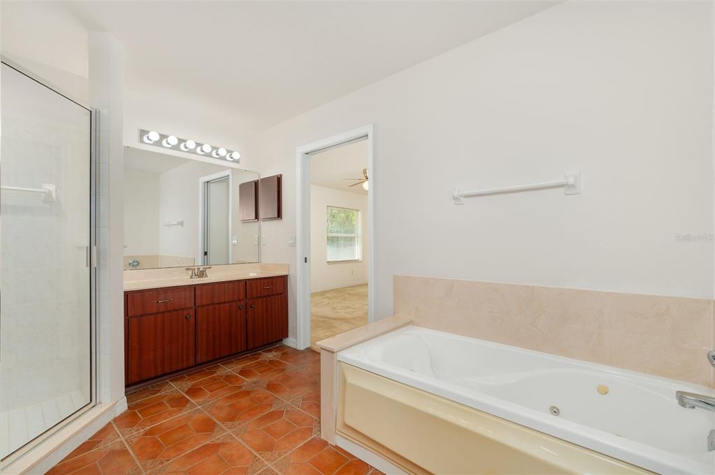 5090 Southeast 28th Street Ocala, FL 34480 - Photo 19 of 35 a bathroom with a bathtub sink and mirror