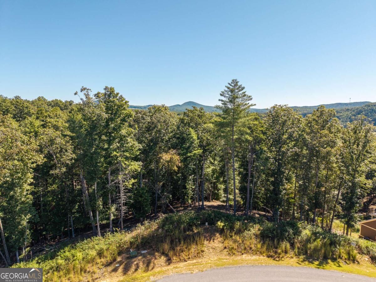 Lot 62 Ridge Drive, Unit 62 Morganton, GA 30560 - Photo 11 of 17 Gallery Image 11