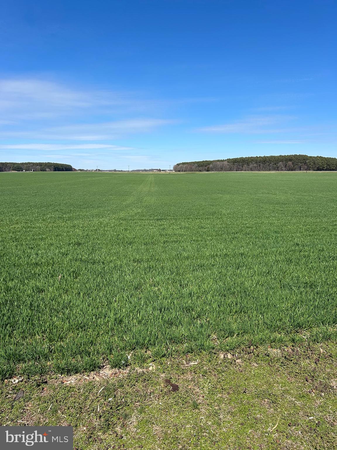 2649 Roberts Station Road Ingleside, MD 21644 - Photo 46 of 51