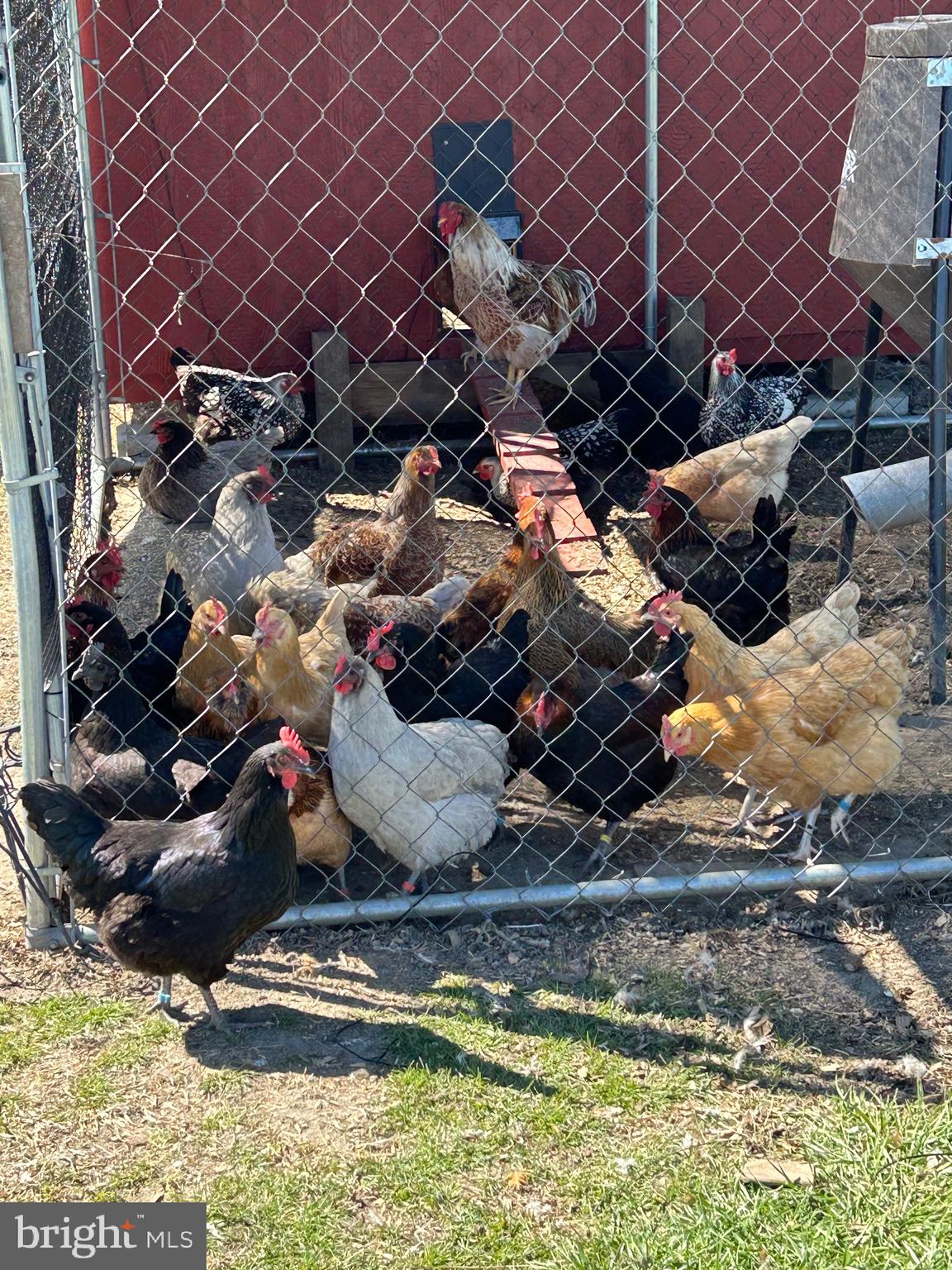 2649 Roberts Station Road Ingleside, MD 21644 - Photo 50 of 51