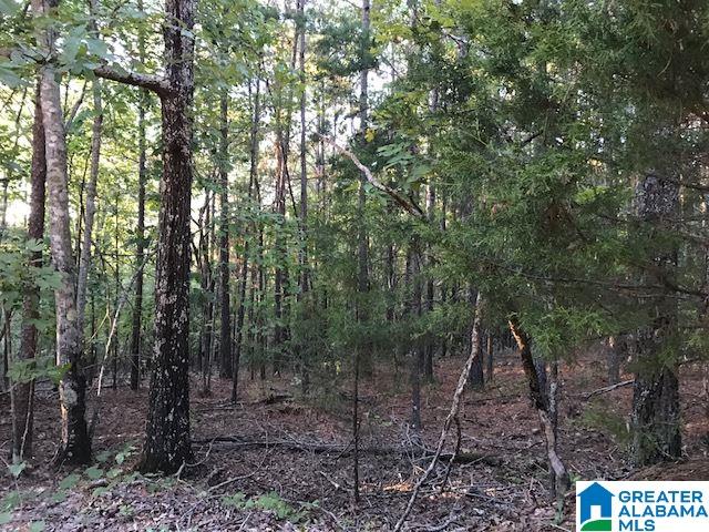 Sunhill Drive, Unit 1 Remlap, AL 35133 - Photo 2 of 7 Gallery Image 2