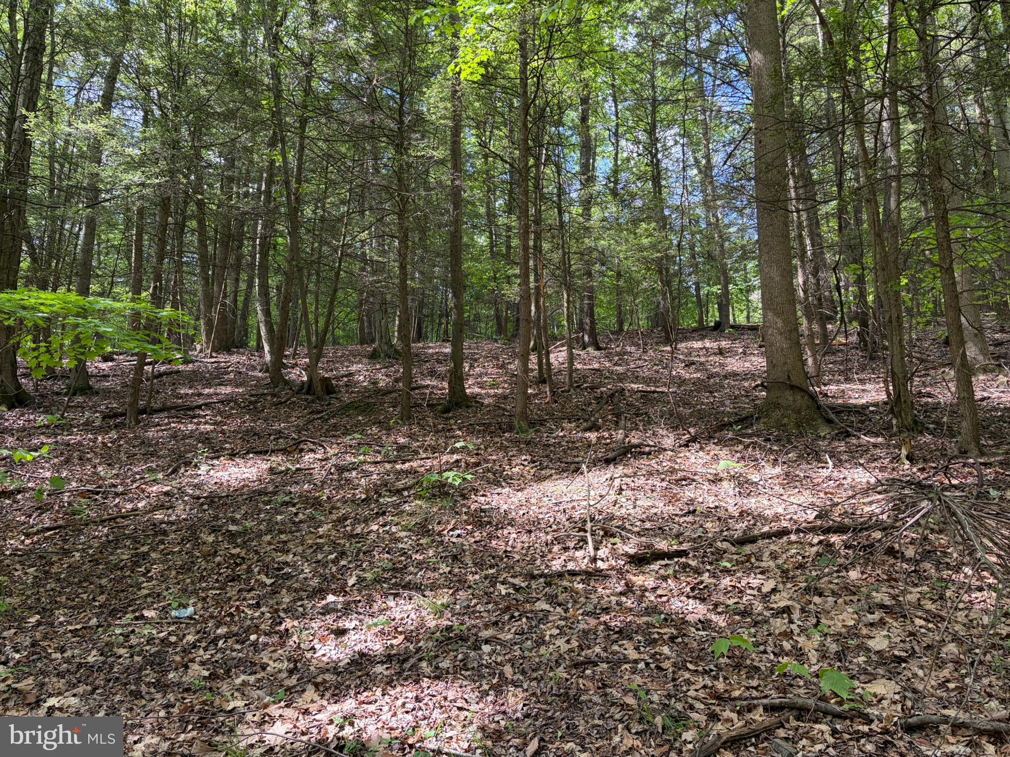 9766 Valley View Road Three Springs, PA 17264 - Photo 35 of 47