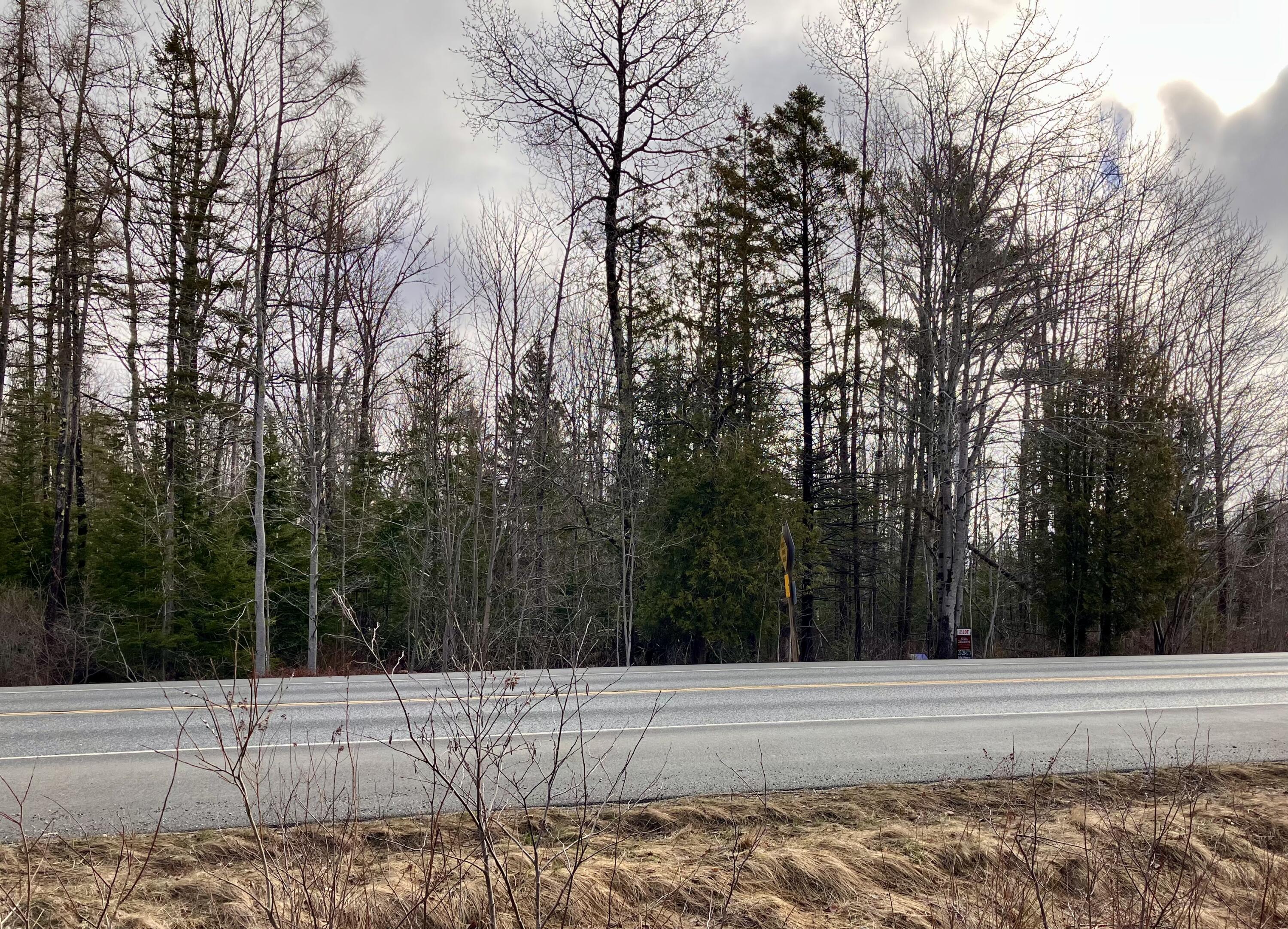 0 Bar Harbor Road Trenton, ME 04605 - Photo 3 of 5 IMG_6342