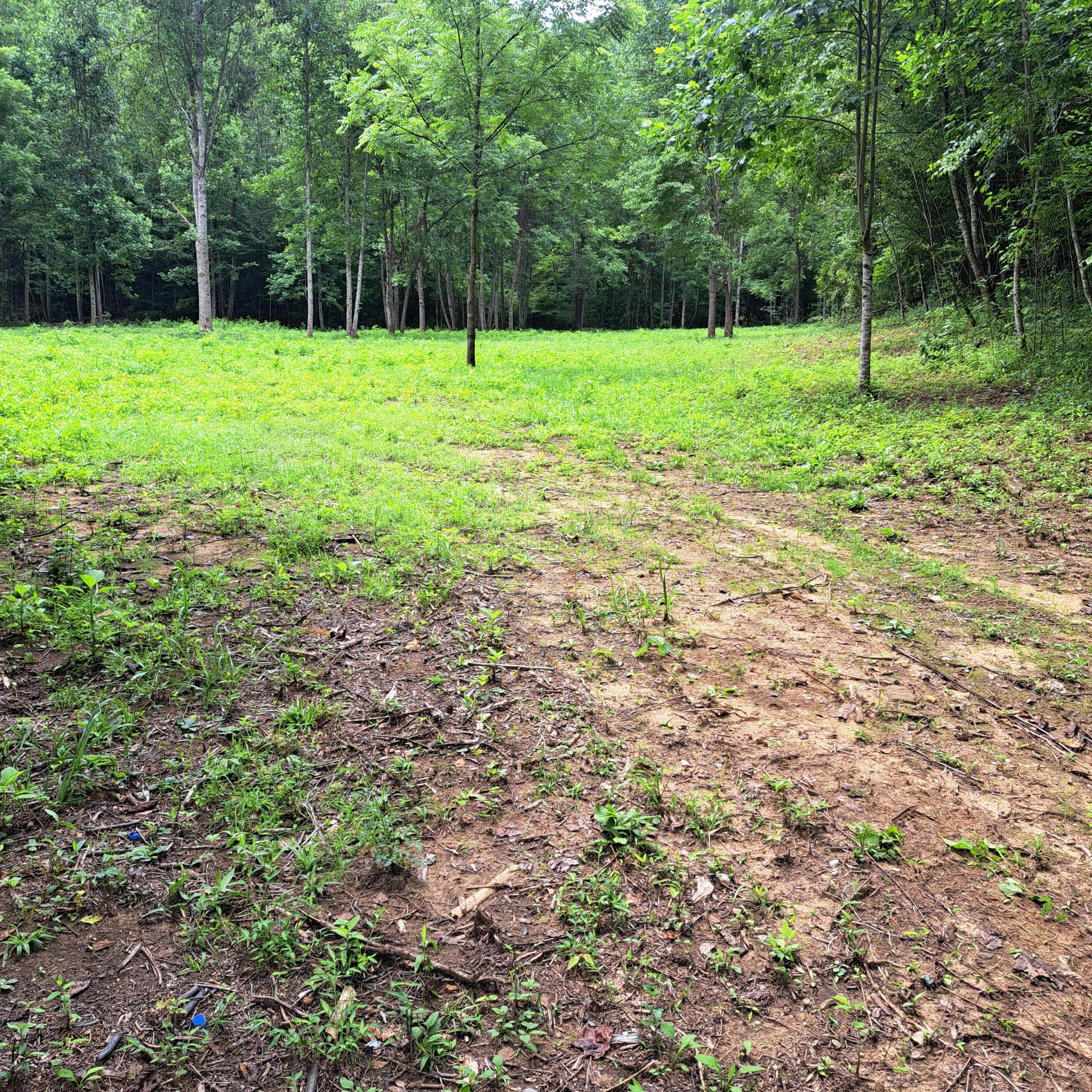 99 Jackson Road Manchester, KY 40962 - Photo 42 of 49 20260724_122650
