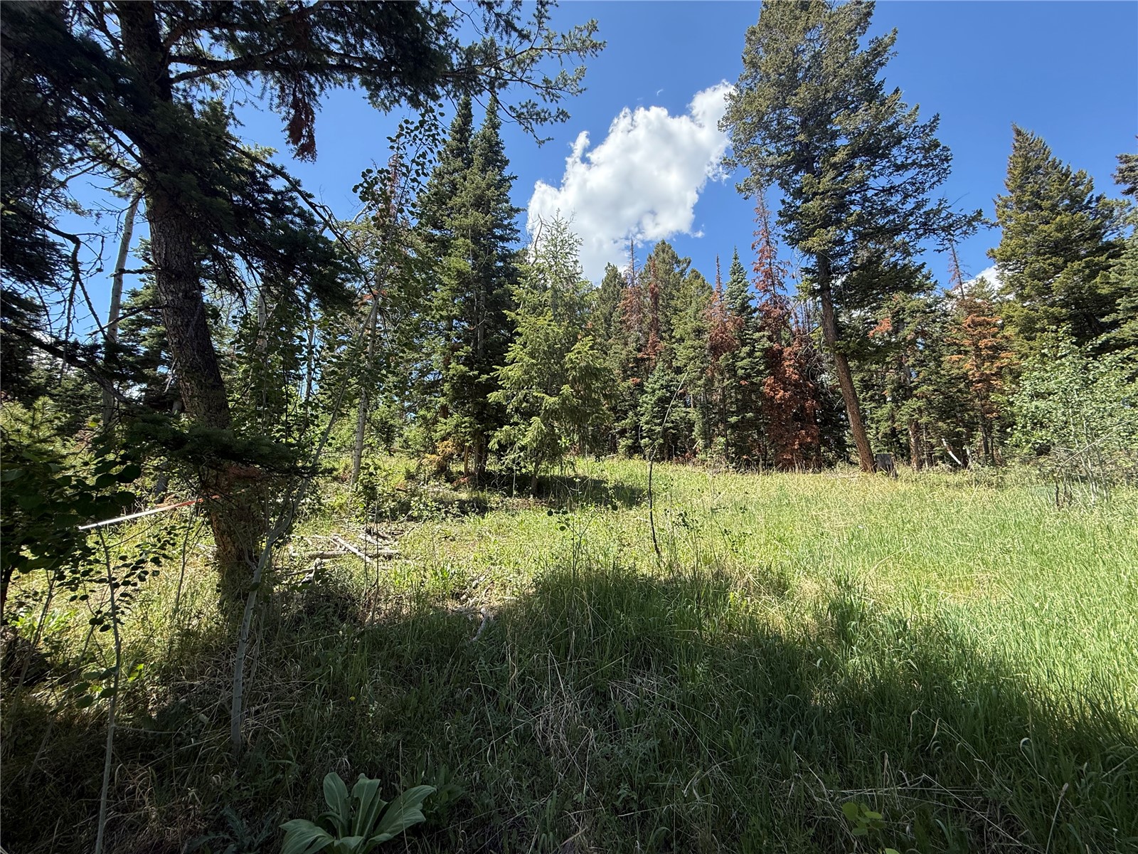 Tbd Spring Creek Ranch Road Silverthorne, CO 80498 - Photo 19 of 48