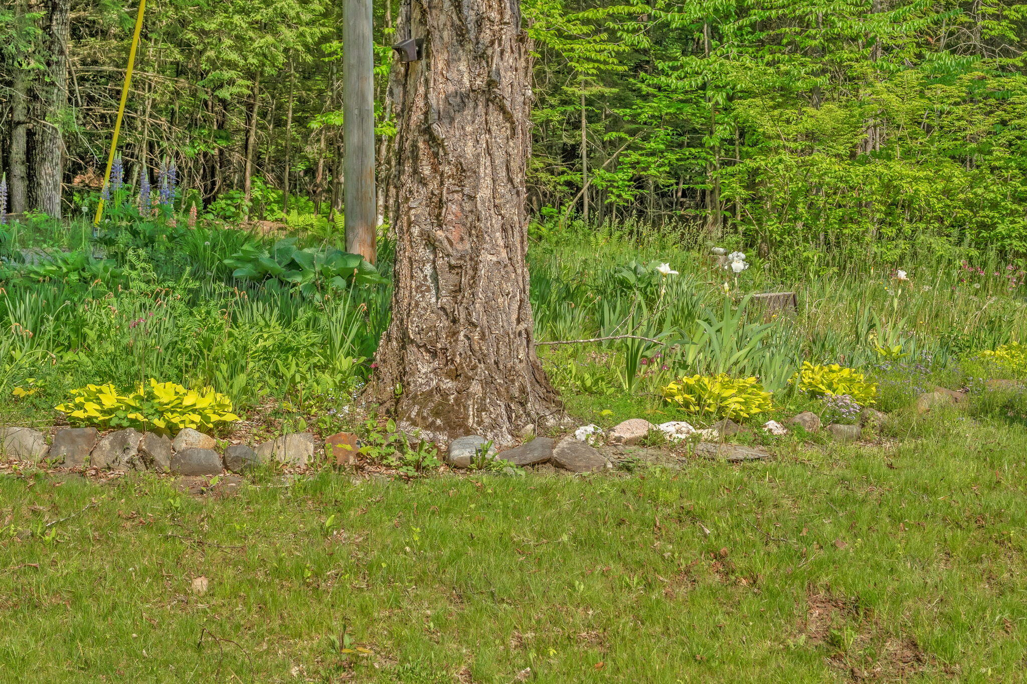 6 Kyes Hill Road Industry, ME 04938 - Photo 35 of 71