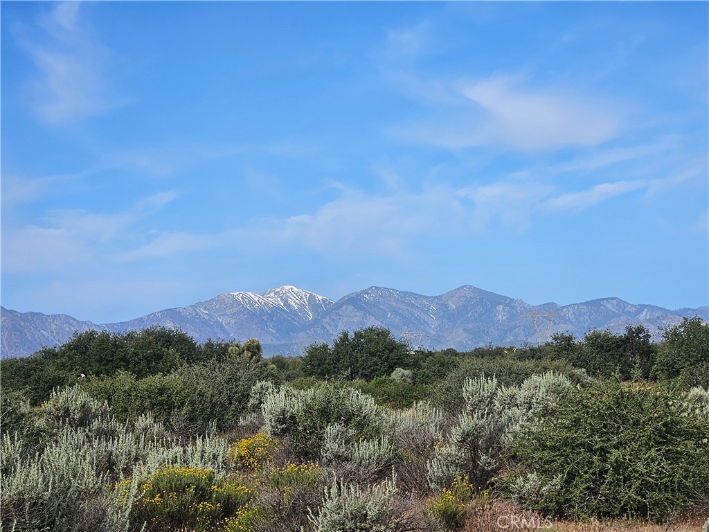 0 Outpost Road Oak Hills, CA 92344 - Photo 5 of 6 a view of a lush green field with mountains in the background
