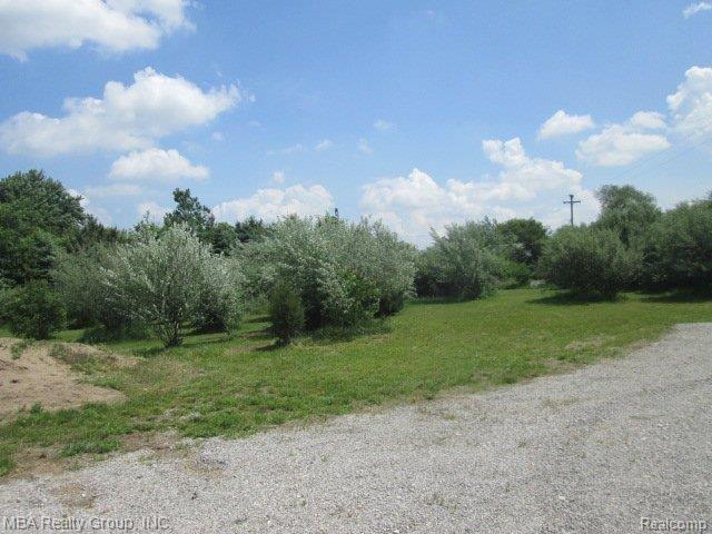 6014 Stout Road Carleton, MI 48117 - Photo 22 of 25 IMG_4021.JPG