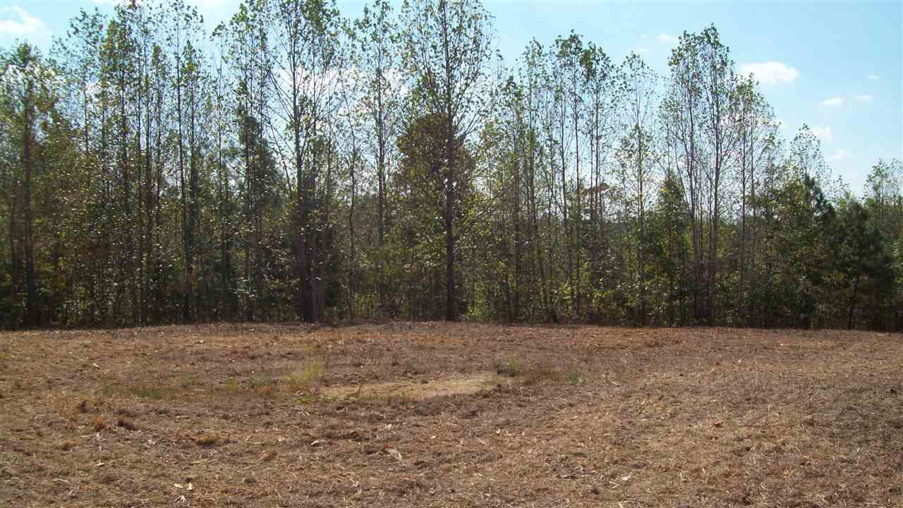 12957 Anneta Road Leitchfield, KY 42754 - Photo 25 of 34 Gallery Image 25