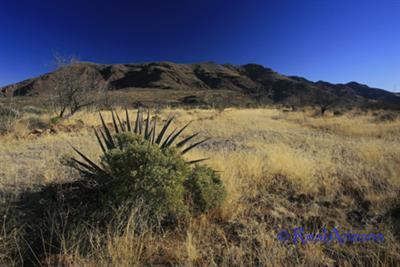 0 Grosvenor Way Rio Rico, AZ 85648 - Photo 4 of 10
