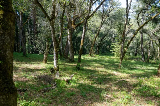 a view of outdoor space and green space