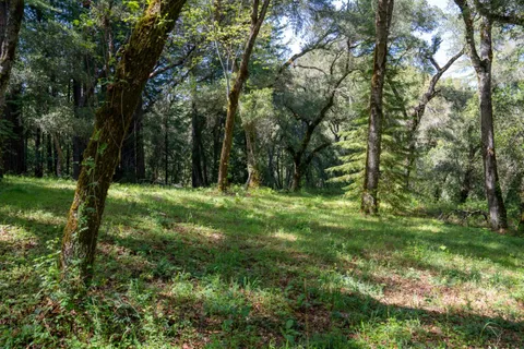 $474,000 | 35000 Robinson Canyon Road, Carmel, CA 93923